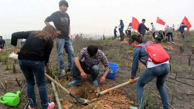 USDT数字钱包(中国区)官方网站