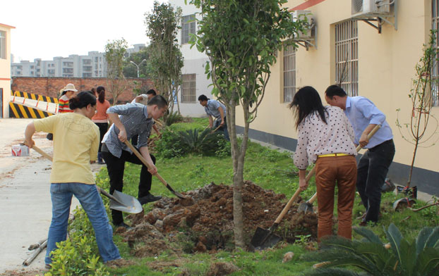 USDT数字钱包(中国区)官方网站