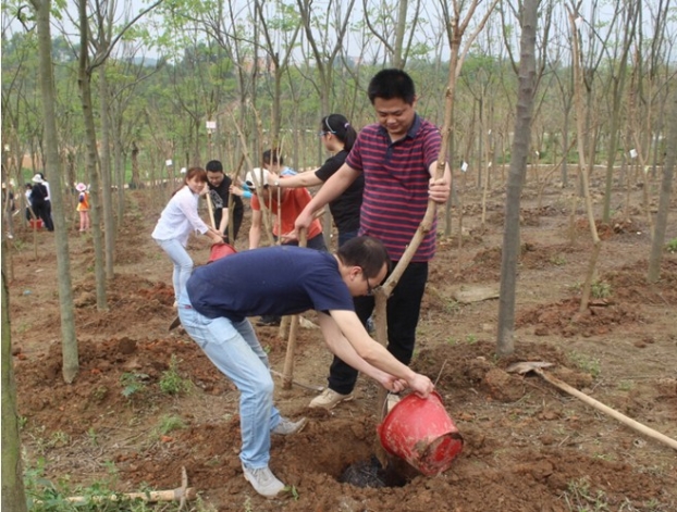 USDT数字钱包(中国区)官方网站