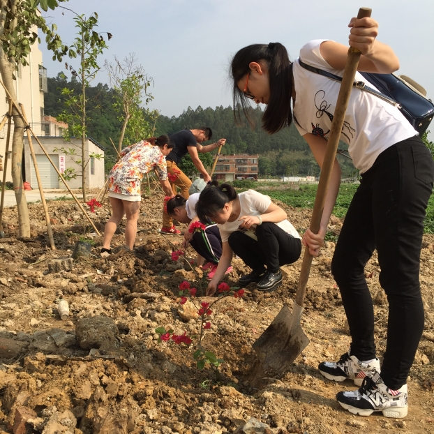 USDT数字钱包(中国区)官方网站