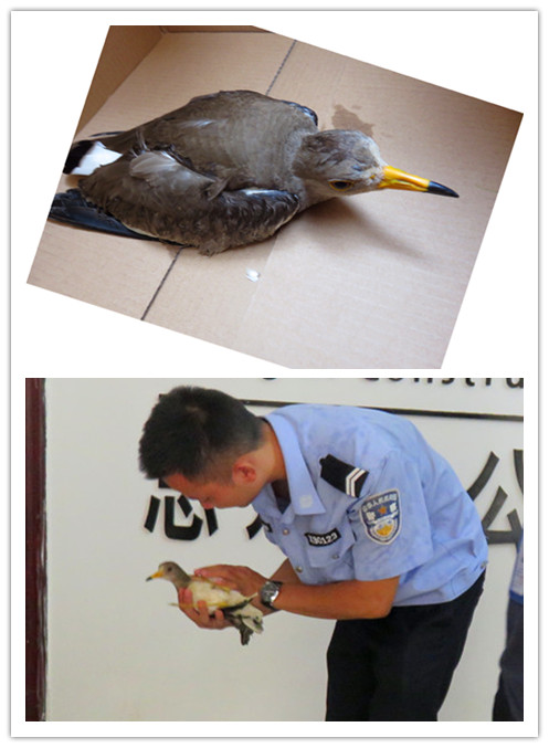 USDT数字钱包(中国区)官方网站