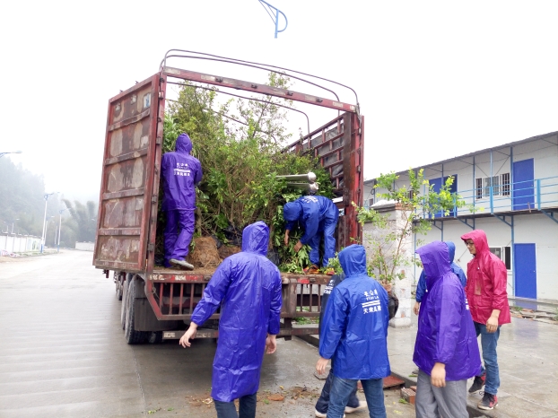 USDT数字钱包(中国区)官方网站
