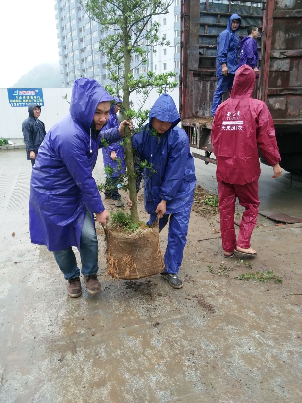 USDT数字钱包(中国区)官方网站