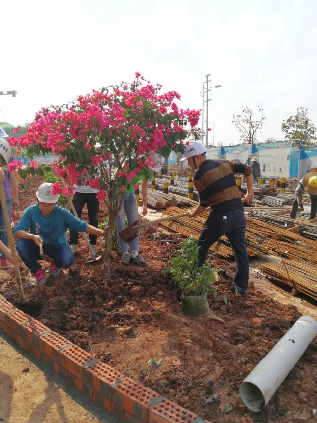 USDT数字钱包(中国区)官方网站