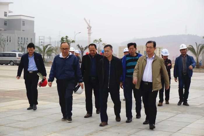 5.吴锡熹一行在项目落成区进行实地观察。谢微旋 摄700.jpg