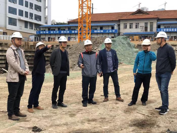 5.2陆烜带队到直属分公司民族苑项目查抄。 朱文海 摄700.jpg