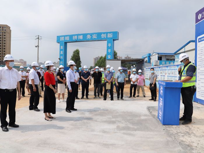 驻桂人大代表听取项目经理汇报。侯健杰 摄.jpg